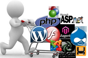 Web Design & Development